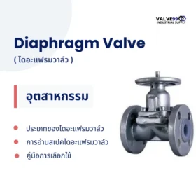 Industrial Diaphragm Valve