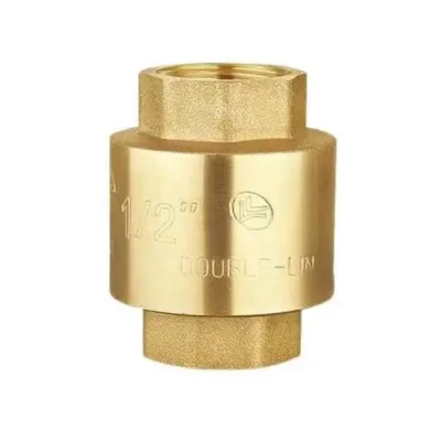 Spring-Check-Valve