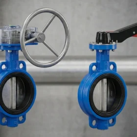 butterfly-valve-infographic